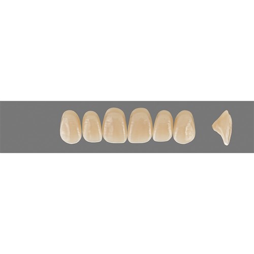 3R25 A3.5 Upper O44 Anterior