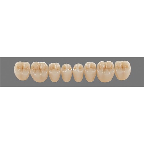 3R25 Lower PL33 Posterior