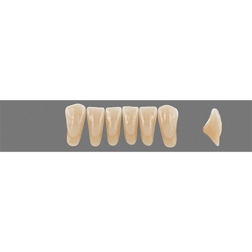 4L15 C3 Lower L37N Anterior