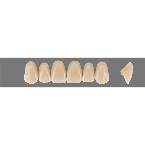 4L15 C3 Upper T49 Anterior