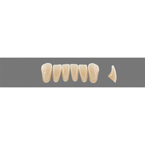 4M2 A4 Lower L33 Anterior