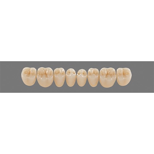 4M2 Lower PL29 Posterior