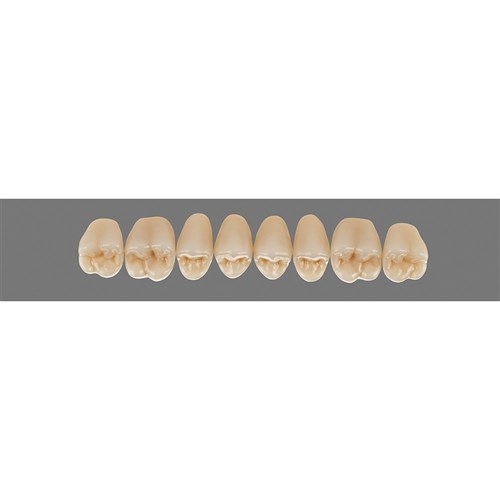 4M2 Upper PU29 Posterior
