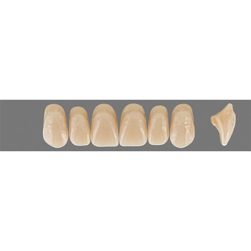 4M2 A4 Upper S50 Anterior