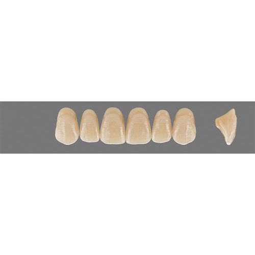 4M2 A4 Upper T46 Anterior