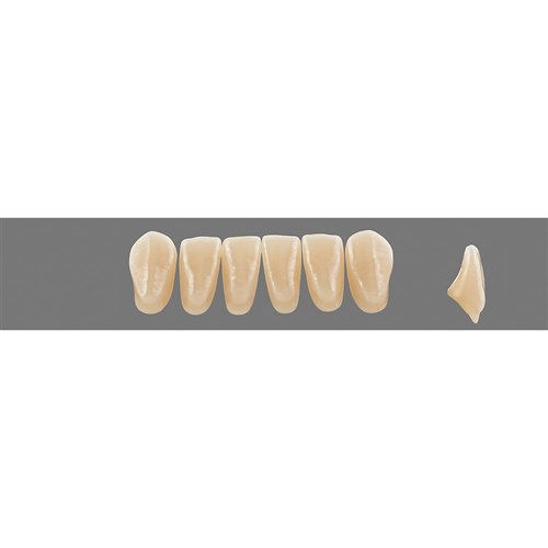 5M1 C4 Lower L40 Anterior