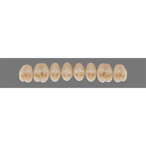 Vita MFT Upper Posterior, Classical Shade A1, Mould PU31