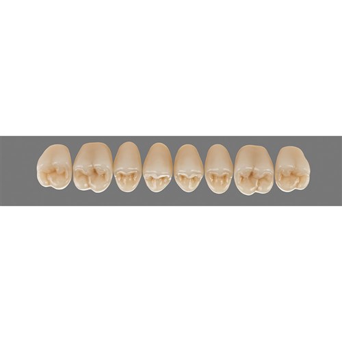 Vita MFT Upper Posterior, Classical Shade A1, Mould PU33