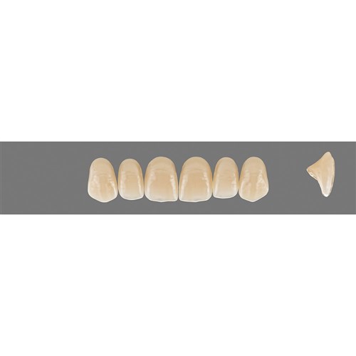 Vita MFT Upper, Anterior, Classical Shade A1, Mould R42