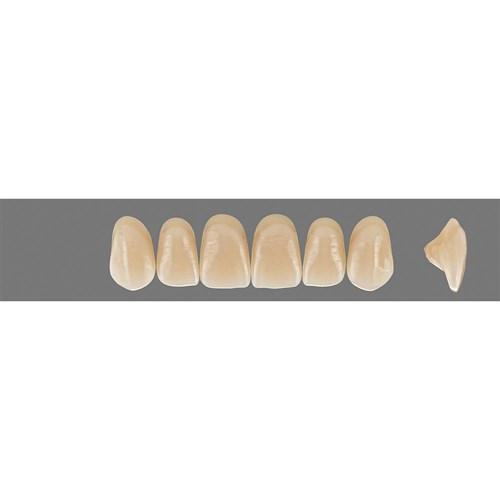 Vita MFT Upper, Anterior, Classical Shade A1, Mould R47