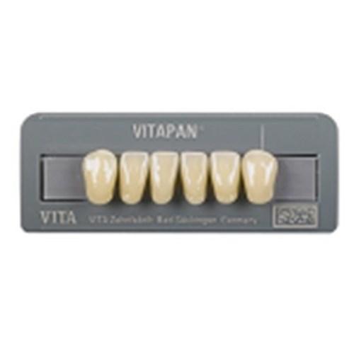 Vita Vitapan Classical Lower, Anterior, Shade A1, Mould L10