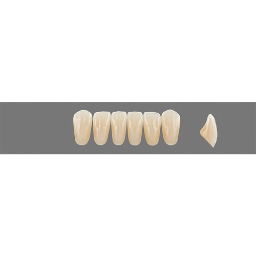 Vita Vitapan Plus Lower, Anterior, Shade A1, Mould L33
