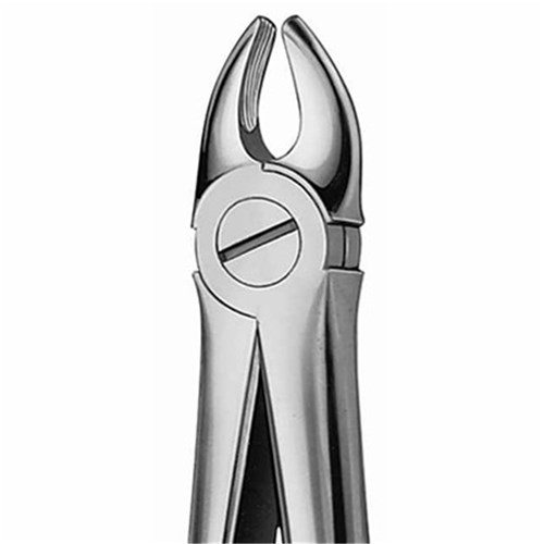 Aesculap Forceps #107 - Upper Canine Short Beaks - DG032R
