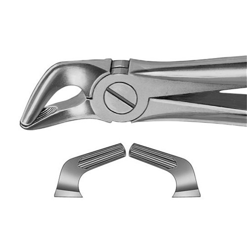 Aesculap Forceps #8 - Lower Premolars - DG500R