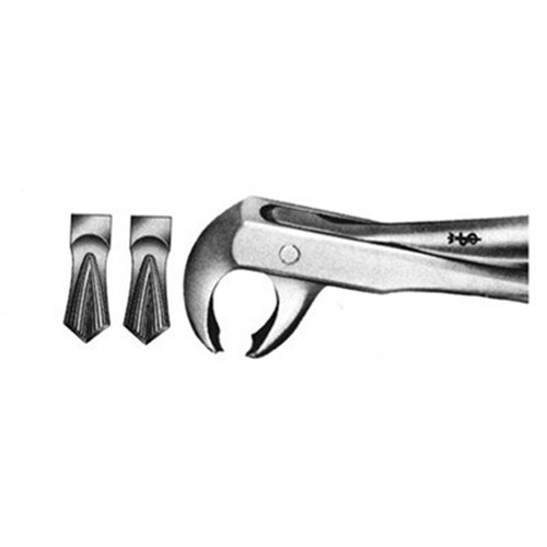Aesculap Forceps #73 - Lower Molars - DG555R