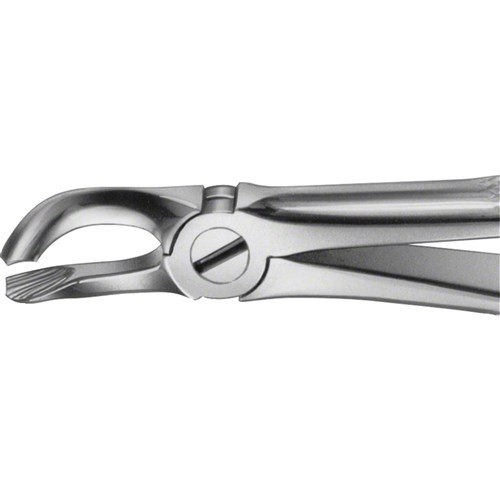Aesculap Forceps #79 - Lower Wisdom Teeth - DG659R