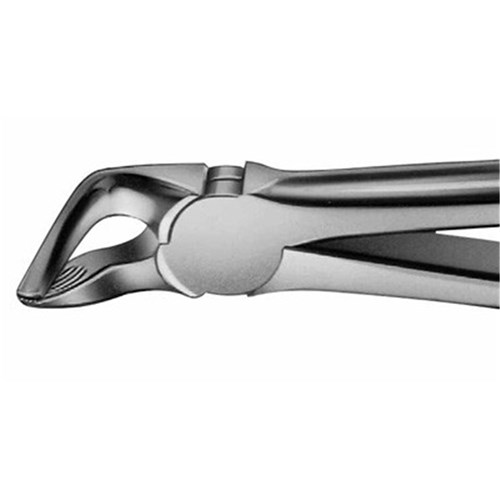 Aesculap Forceps #31 - Lower Bicuspids and Roots - DG751R