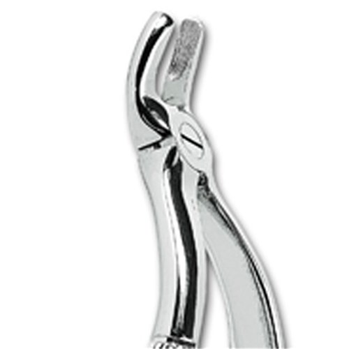 ASA Dental Forceps - #19 - Upper Third Molars