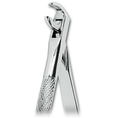 ASA Dental Forceps - #75 - Lower Canines and Premolars