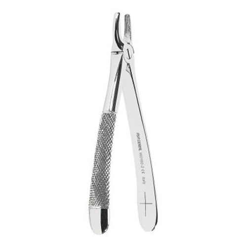 ASA Dental ASAlady Extracting Forceps - Upper Incisors and Canines