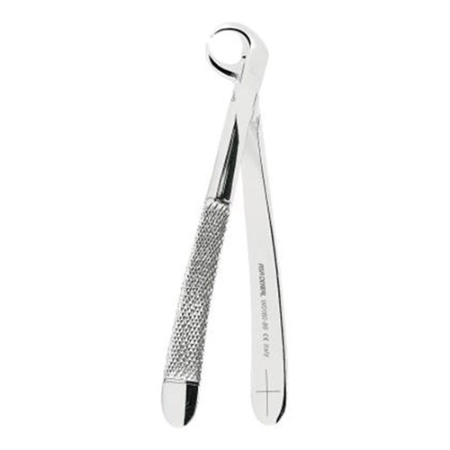 ASA Dental ASAlady Extracting Forceps - Lower Molars