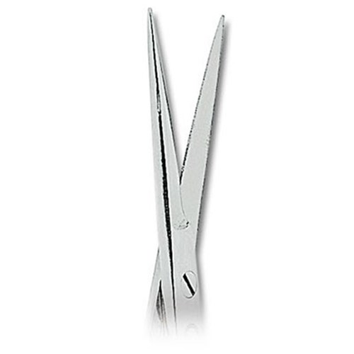 ASA Dental Gum Scissors - Iris - #1 - Straight - 11.5cm