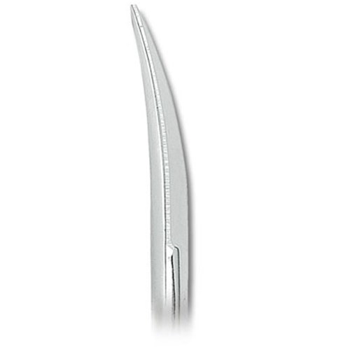 ASA Dental Gum Scissors - Iris - #2TC - Curved with Tungsten Carbide Insert