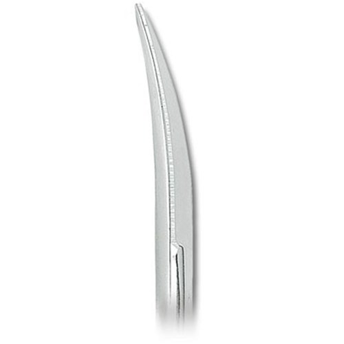 ASA Dental Gum Scissors - Iris - #2 - Curved - 11.5cm