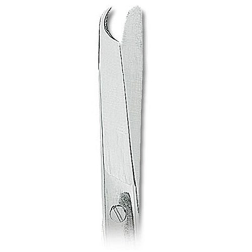 ASA Dental Scissors - Surgical Spencer - #2 - 13cm