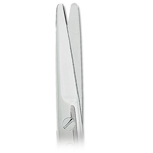 ASA Dental Scissors - Surgical Mayo - #1 - Straight - 14.5cm