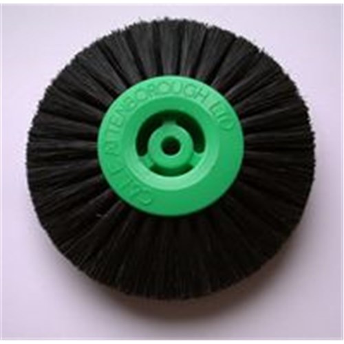 Attenborough Lathe Brush - 3 Row Converged - Black Bristle - 73mm, 1-Pack