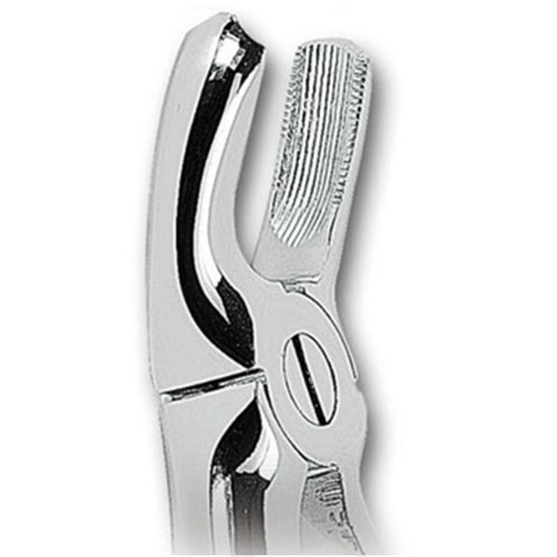ASA Upper Left and Upper Right Molar Forceps