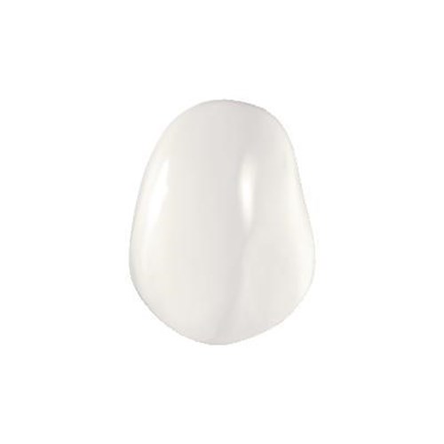 Coltene Componeer - Prefabricated Composite Shells - XL - Upper - 11 - Enamel Universal, 2-Pack