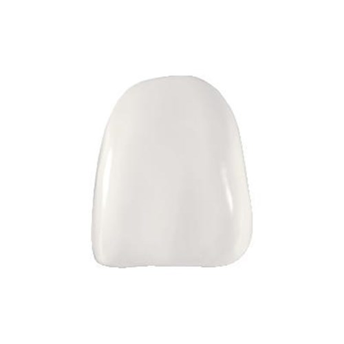 Coltene Componeer - Prefabricated Composite Shells - XL - Upper - 21 - Enamel Universal, 2-Pack