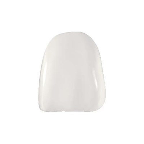 Coltene Componeer - Prefabricated Composite Shells - XL - Upper - 21 - Enamel Universal, 2-Pack