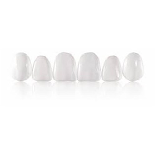 Coltene Componeer - Prefabricated Composite Shells - XL Set - 11,12,13,21,22,23 - White Opalescent Enamel, 6-Pack