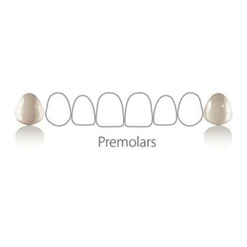 Coltene Componeer - Prefabricated Composite Shells - S Set - Upper Premolar - 14/24 - Enamel Universal, 2-Pack