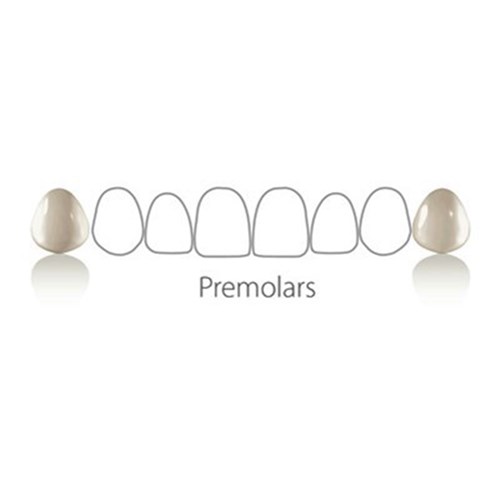 Coltene Componeer - Prefabricated Composite Shells - S Set - Upper Premolar - 14/24 - Enamel Universal, 2-Pack