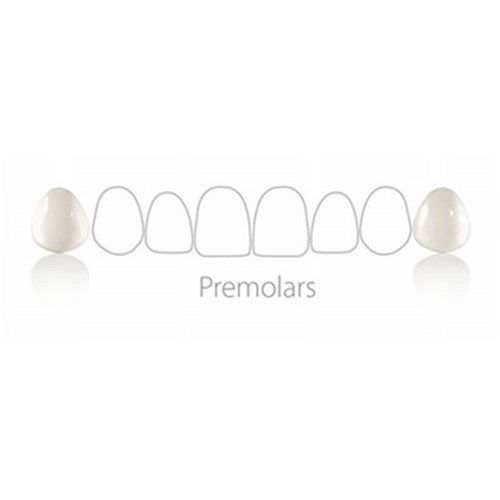 Coltene Componeer - Prefabricated Composite Shells - S Set - Upper Premolar - 14/24 - White Opal Enamel, 2-Pack