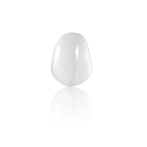 Coltene Componeer - Prefabricated Composite Shells - L - Upper - 23 - Enamel Bleach Opaque, 2-Pack