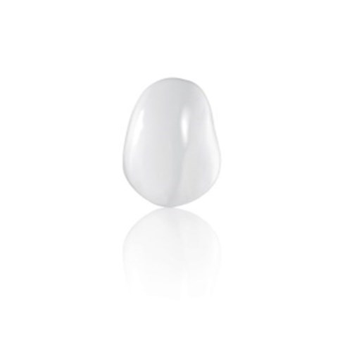 Coltene Componeer - Prefabricated Composite Shells - L - Upper - 23 - Enamel Bleach Opaque, 2-Pack
