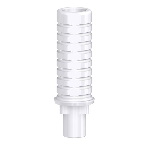 Rep Plastic Cast Eng RP