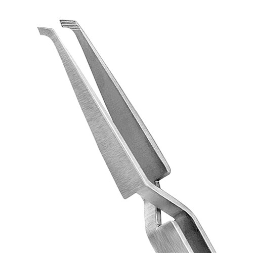 HOLDER Direct Bond Bracket