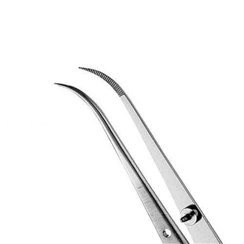 HuFriedyGroup Tweezer - Perry - #1 - Serrated