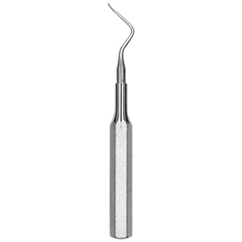 ROOT TIP PICK Heidbrink #4