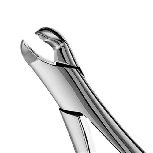 HuFriedyGroup Harris Forceps - #7 - 1st and 2nd Lower Molars