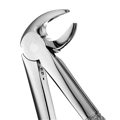 HuFriedyGroup Mead Forceps - #MD3 - Lower Incisors and Roots - Serrated