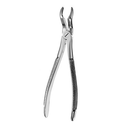 HuFriedyGroup European Style Forceps - #67A - Serrated Upper 3rd Molars