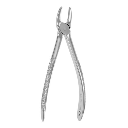 Julius Wirth European Style Forceps - #7