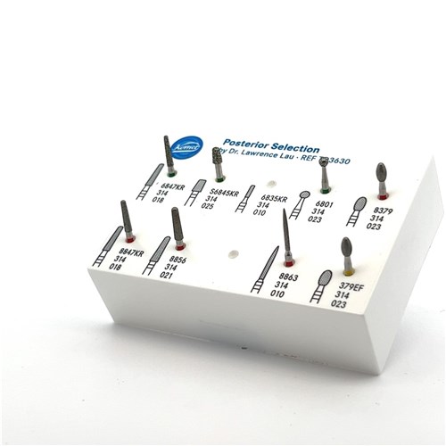 KOMET Dr Lawrence Lau Posterior Selection